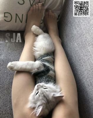 波多野结衣一级操逼片_BD英语高清完整版播放