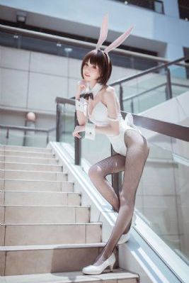 兔子先生在线观看高清完整版中文_全集神马影院